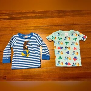 Hanna Andersson Blue & White Striped Curious George Shirt & Bluey Top Size 2T